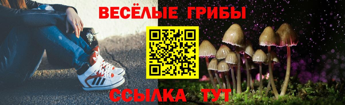 Псилоцибиновые грибы MAGIC MUSHROOMS Минусинск